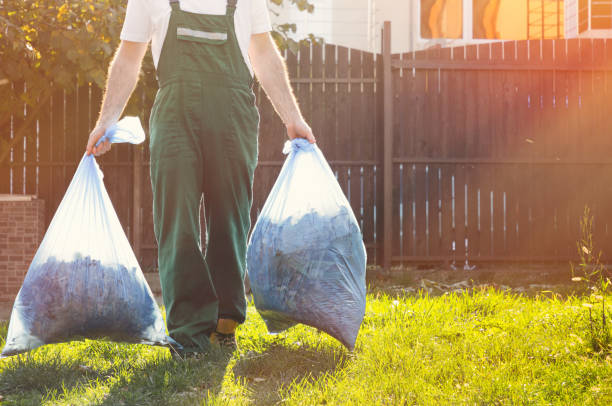 Best Trash Removal Near Me  in New Cumberland, WV